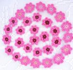 Floricele  roz F110 Pe stoc : 18 floricele cu mjlocul bordo 12 floricele cu mijlocul roz pal